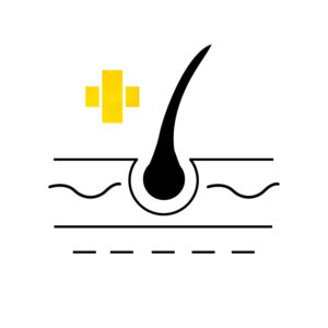 Grafik4